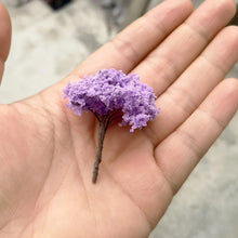 Load image into Gallery viewer, 10 pcs 5cm Miniature Flower Wire Tree Models N HO Scale Railway Layout Accessories DIY Landscape Dollhouse Terrarium Diorama Craft Supplies