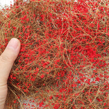 Load image into Gallery viewer, Miniature Hay Vine Grass for Diorama, Early Spring Model Scenery Material, Landscape DIY Supply