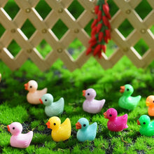 Load image into Gallery viewer, 100 pcs Mixed Miniature Little Duck Model Glow in Dark DIY Dollhouse Landscape Fairy Garden Accessories Terrarium Diorama Craft Supplies