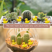Load image into Gallery viewer, 50 pcs Miniature Cute Little Duck Animal Figure Models Dollhouse Landscape Fairy Garden Accessories Terrarium Diorama Craft Supplies