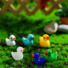 Load image into Gallery viewer, 100 pcs Mixed Miniature Little Duck Model Glow in Dark DIY Dollhouse Landscape Fairy Garden Accessories Terrarium Diorama Craft Supplies