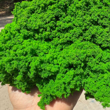 Load image into Gallery viewer, 20g Model Vegetation Sponge for Diorama Scenery, Railway Layout Bush Foliage, Miniature Landscape