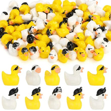 Load image into Gallery viewer, 20/40pcs Mixed Mini Pirate Ducks, Cute Resin Miniature Figurines for Fairy Garden, Micro Landscape, DIY Crafts, Potted Plant Decoration