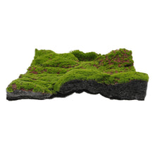 Load image into Gallery viewer, Artificial Moss Mat 30cm, Faux Turf Panel, Landscape Decor, Diorama, Terrarium, Fairy Garden Supply