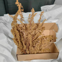 Load image into Gallery viewer, Miniature Diorama Grass Bushes for Model Scenery, Dried Landscape Foliage, Railway Train Layout, Terrain