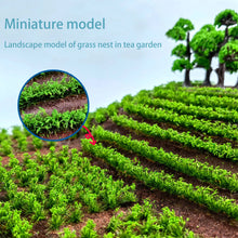 Load image into Gallery viewer, Miniature Tea Field Grass Nest Bush Plant Model Sand Table Dollhouse Fairy Garden Landscape Terrarium Diorama Craft Supplies