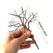 Load image into Gallery viewer, Miniature Wire Tree Trunk Armature 15/18cm for Diorama, Model Scenery, DIY Landscape Supply