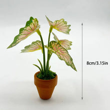 Load image into Gallery viewer, 1/12 Scale Dollhouse Mini Taro Turtle Back Plant, Green Potted Plant Miniature, Scandinavian Style Decor, Mini Garden Scene Accessory