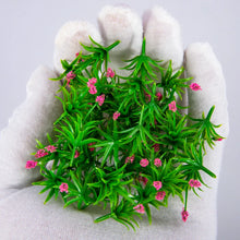 Load image into Gallery viewer, 20pcs Miniature Flower Grass Tufts Mixed Colors Diorama Plants for Railway Layout, Model Garden