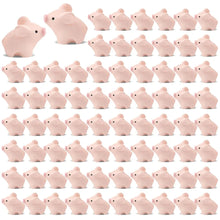 Load image into Gallery viewer, 50/100pcs Mini Resin Pig Figurines, Tiny Animal Miniatures for Fairy Garden, Micro Landscape, DIY Crafts, Home or Plant Decorations