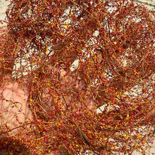 Load image into Gallery viewer, Miniature Vine Model for Diorama Scenery, Train Layout, Wargame Terrain, Sand Table Vegetation Craft Supply