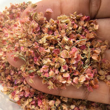 Load image into Gallery viewer, Miniature Pink Leaves Scenery Material Fairy Garden Diorama Terrain Scatter Dollhouse Landscape