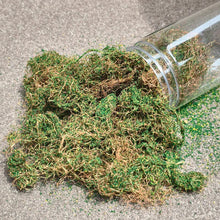 Load image into Gallery viewer, 200ml Creeper Vine Model Foliage for Miniatures, Wargame Terrain, Diorama Landscaping Grass, DIY Micro Scenery Plants, Craft Supplies