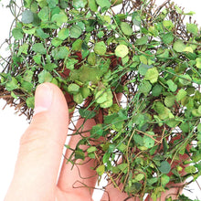 Load image into Gallery viewer, 1 Box Green Simulation Vine for Diorama Model Scenery, Miniature Landscape, Dollhouse, Sand Table, Wargame Terrain Craft Supplies