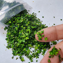 Load image into Gallery viewer, 33ml Miniature Model Leaves for Dioramas, Railway Scenery, Fairy Garden, Terrain, DIY Landscape Supplies