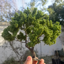 Load image into Gallery viewer, Miniature Green Oak Wire Tree Model 10–25cm for Diorama Railway Layout Craft Supply