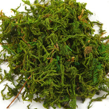 Load image into Gallery viewer, 30/60g Miniature Moss Lichen Grass Model Train Railway Layout Accessories DIY Scenery Landscape Dollhouse Terrarium Diorama Craft Supplies