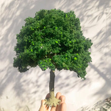 Load image into Gallery viewer, 10/15/18/23/28cm Miniature Deep Green Tree Model Train Railway Layout Scenery Dollhouse Garden Landscape Terrarium Diorama Craft Supplies