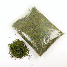 Load image into Gallery viewer, 30/60g Miniature Moss Lichen Grass Model Train Railway Layout Accessories DIY Scenery Landscape Dollhouse Terrarium Diorama Craft Supplies