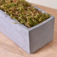Load image into Gallery viewer, 30/60g Miniature Moss Lichen Grass Model Train Railway Layout Accessories DIY Scenery Landscape Dollhouse Terrarium Diorama Craft Supplies