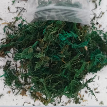 Load image into Gallery viewer, Miniature Model Foliage: 10g Artificial Moss & Shrub Material (Dry or Green)