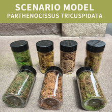 Load image into Gallery viewer, 200ml Creeper Vine Model Foliage for Miniatures, Wargame Terrain, Diorama Landscaping Grass, DIY Micro Scenery Plants, Craft Supplies