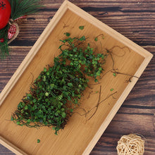 Load image into Gallery viewer, 1 Box Green Simulation Vine for Diorama Model Scenery, Miniature Landscape, Dollhouse, Sand Table, Wargame Terrain Craft Supplies
