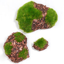Load image into Gallery viewer, 6 pcs Miniature Moss Stone Rock Models Train Railway Accessories DIY Scene Fairy Garden Landscape Dollhouse Terrarium Diorama Craft Supplies