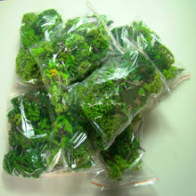 Load image into Gallery viewer, 30/50 pcs Mixed Miniature Green Tree Models N HO Scale Railway Layout Accessories DIY Landscape Dollhouse Terrarium Diorama Craft Supplies