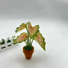 Load image into Gallery viewer, 1/12 Scale Dollhouse Mini Taro Turtle Back Plant, Green Potted Plant Miniature, Scandinavian Style Decor, Mini Garden Scene Accessory