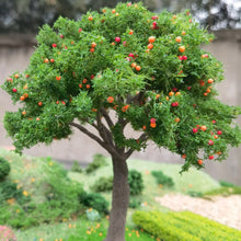 Load image into Gallery viewer, 10/15/23cm Miniature Green Fruit Tree Wire Trunk Model Train Railway Accessories Fairy Garden Landscape Terrarium Diorama Craft Supplies