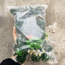 Load image into Gallery viewer, 35/60 pcs Mixed Miniature Green Tree Models N HO Scale Railway Layout Accessories DIY Landscape Dollhouse Terrarium Diorama Craft Supplies