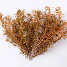 Load image into Gallery viewer, Miniature Wetland Reed Plants and Long Leaf Grass Clusters for HO OO N Scale Dioramas, Military Scenery, Micro Landscapes and Model Making