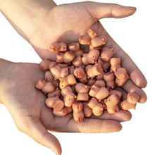 Load image into Gallery viewer, 5/10 pcs Miniature Cute Capybara Figure Model DIY Scenery Dollhouse Landscape Fairy Garden Accessories Terrarium Diorama Craft Supplies