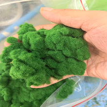 Load image into Gallery viewer, 50g Static Grass Tufts for Miniature Diorama Scenery, Model Railway, Landscape Terrain, Dollhouse Ground