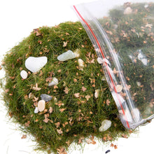 Load image into Gallery viewer, 30g Static Grass Cluster Powder with Stones and Leaves for Diorama Railway Scene Building Sand Table Landscape Decoration Craft Supply