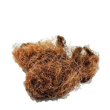 Load image into Gallery viewer, 50g Simulation Dry Grass Model Material for Diorama, Wargame Terrain, Model Railway Scenery, Miniature Landscape Craft Supplies