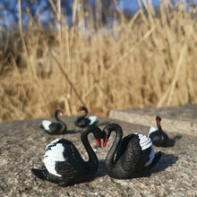 Load image into Gallery viewer, 5pcs Mini Black Swan Figurines, Resin Miniatures for Fairy Garden, Terrarium, Dollhouse, Bonsai Decor, DIY Crafts & Diorama Scenes