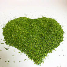 Load image into Gallery viewer, 30g Miniature Wooden Tree Leaves Grass Powder Model Railway Accessories DIY Scenery Landscape Dollhouse Terrarium Diorama Craft Supplies