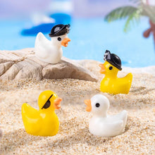 Load image into Gallery viewer, 20/40pcs Mixed Mini Pirate Ducks, Cute Resin Miniature Figurines for Fairy Garden, Micro Landscape, DIY Crafts, Potted Plant Decoration