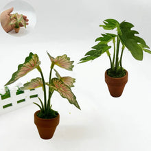 Load image into Gallery viewer, 1/12 Scale Dollhouse Mini Taro Turtle Back Plant, Green Potted Plant Miniature, Scandinavian Style Decor, Mini Garden Scene Accessory
