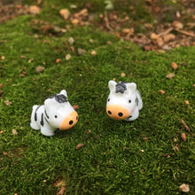 Load image into Gallery viewer, 5/10 pcs Miniature Cute Zebra Horse Figure Model DIY Scenery Dollhouse Landscape Fairy Garden Accessories Terrarium Diorama Craft Supplies