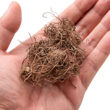 Load image into Gallery viewer, Miniature Simulation Tree Roots Vines Model Train Railway Layout Accessories DIY Landscape Dollhouse Terrarium Diorama Craft Supplies