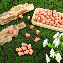 Load image into Gallery viewer, 5/10 pcs Miniature Cute Capybara Figure Model DIY Scenery Dollhouse Landscape Fairy Garden Accessories Terrarium Diorama Craft Supplies