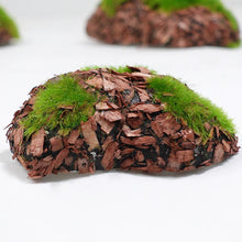 Load image into Gallery viewer, 6 pcs Miniature Moss Stone Rock Models Train Railway Accessories DIY Scene Fairy Garden Landscape Dollhouse Terrarium Diorama Craft Supplies