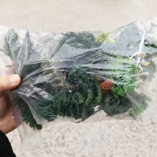 Load image into Gallery viewer, 35/60 pcs Mixed Miniature Green Tree Models N HO Scale Railway Layout Accessories DIY Landscape Dollhouse Terrarium Diorama Craft Supplies