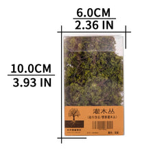 Load image into Gallery viewer, Miniature Bush Grass Shrub Vegetation Plant Model Train Railway Accessories DIY Scenery Landscape Dollhouse Terrarium Diorama Craft Supplies