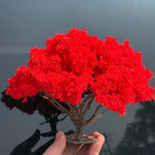 Load image into Gallery viewer, Miniature Red Wire Tree Model 10/15cm for Diorama Railway Layout Landscape Craft Supply