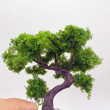 Load image into Gallery viewer, 8cm Miniature Mountain Pine Wire Tree Model N Scale Train Railway Layout DIY Landscape Dollhouse Garden Terrarium Diorama Craft Supplies