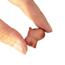 Load image into Gallery viewer, 5/10 pcs Miniature Cute Capybara Figure Model DIY Scenery Dollhouse Landscape Fairy Garden Accessories Terrarium Diorama Craft Supplies